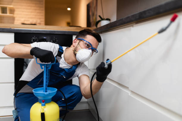 Trusted Harrison, NY Pest Control Experts