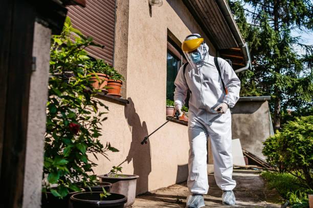 Best Pest Removal Services  in Harrison, NY