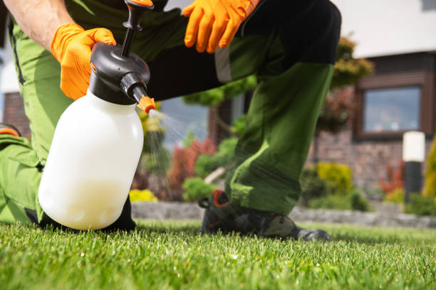 Best Wasp Removal Services  in Harrison, NY