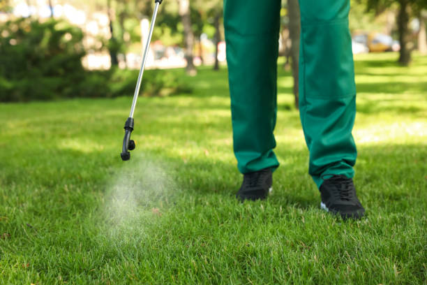 Wasp Removal Services in Harrison, NY