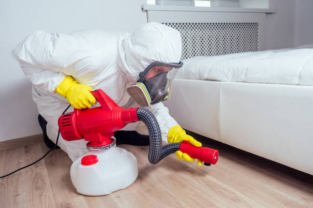 Flea Control Services in Harrison, NY