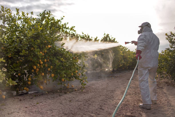 Best Cockroach Control Services  in Harrison, NY