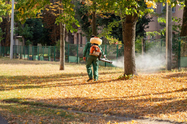 Best Bed Bug Extermination  in Harrison, NY