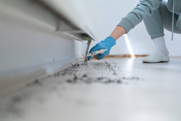 Best Pest Inspection Near Me  in Harrison, NY